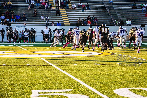 TMD_RVHS_wk6-8993