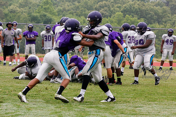 TMD_RVHS_2014-3622