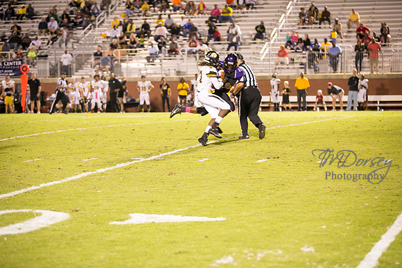 TMD_RVHS_wk6-0765