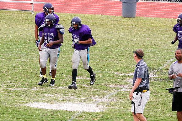 TMD_RVHS_2014-3799