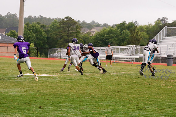 TMD_RVHS_2014-3703