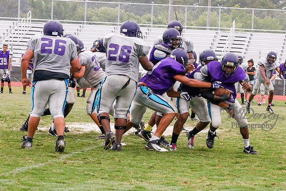 TMD_RVHS_2014-3668