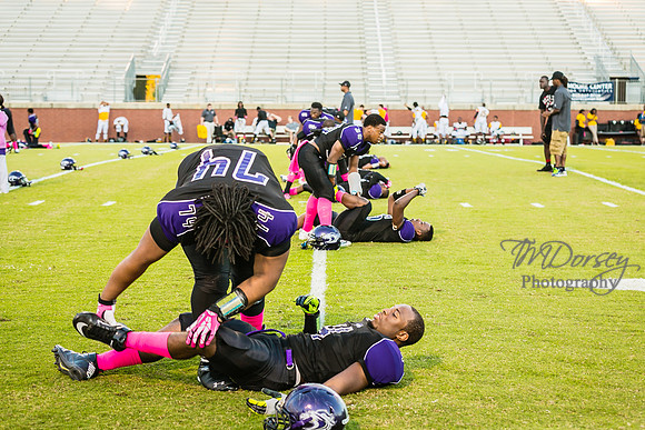 TMD_RVHS_wk6-0159