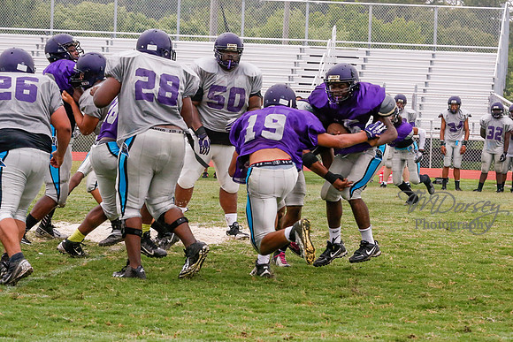 TMD_RVHS_2014-3667