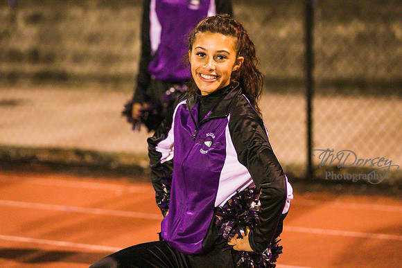 TMD_RVHS_wk8-3837