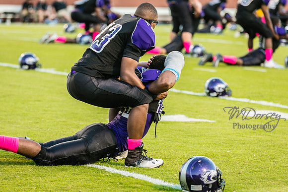 TMD_RVHS_wk6-0153