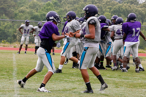 TMD_RVHS_2014-3634