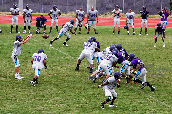 TMD_RVHS_2014-3778