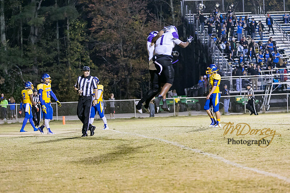 RVHS_2016-3014