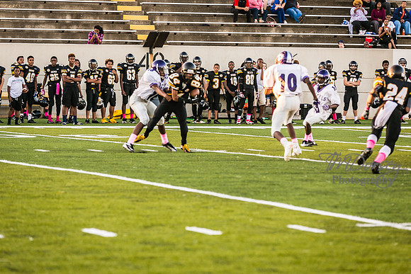 TMD_RVHS_wk6-9064