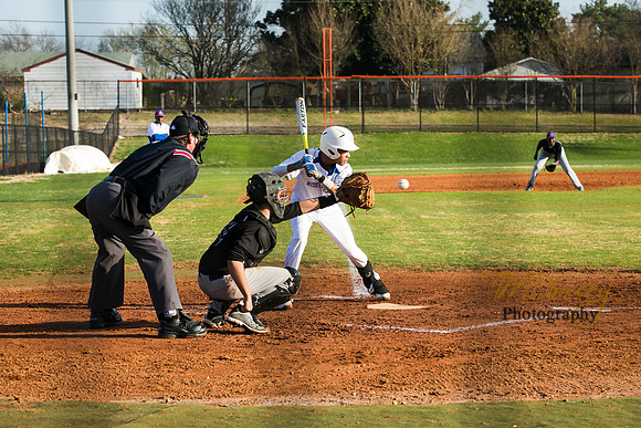 TMD_RVHS-2014-0058