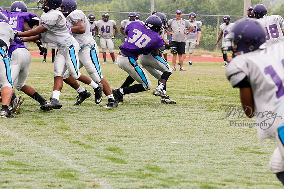TMD_RVHS_2014-3606