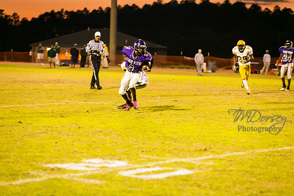 TMD_RVHS_wk8-3372