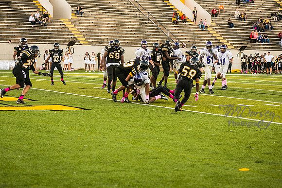 TMD_RVHS_wk6-9055