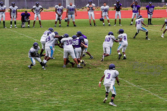 TMD_RVHS_2014-3782