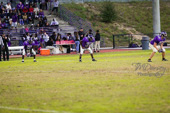 TMD_RVHS_wk8-3300