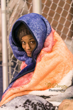 TMD_RVHS-2014-0249