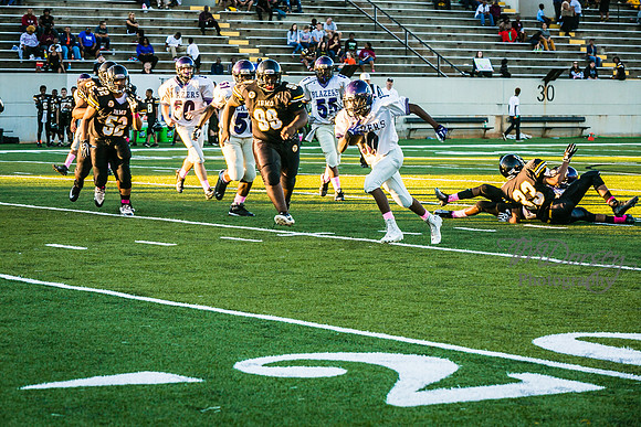 TMD_RVHS_wk6-9024
