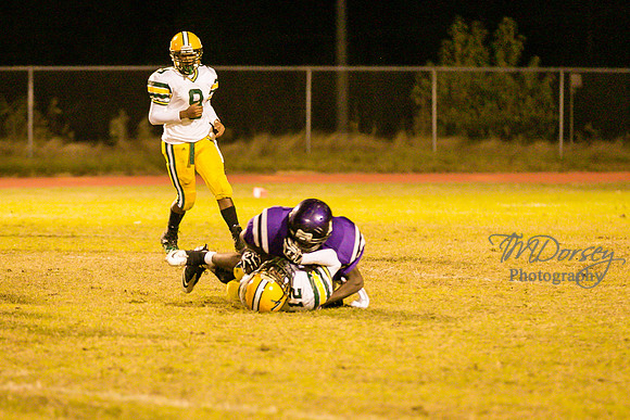 TMD_RVHS_wk8-3865