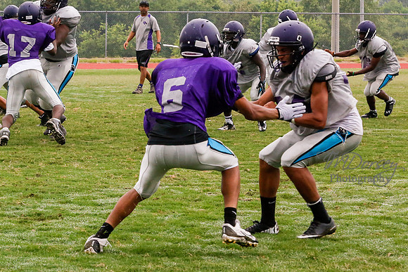 TMD_RVHS_2014-3685