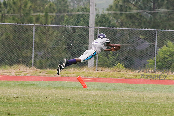 TMD_RVHS_2014-3729