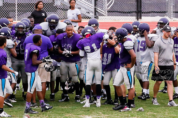 TMD_RVHS_2014-3805