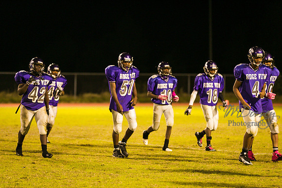 TMD_RVHS_wk8-3693