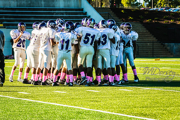 TMD_RVHS_wk6-8890