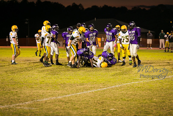 TMD_RVHS_wk8-3444