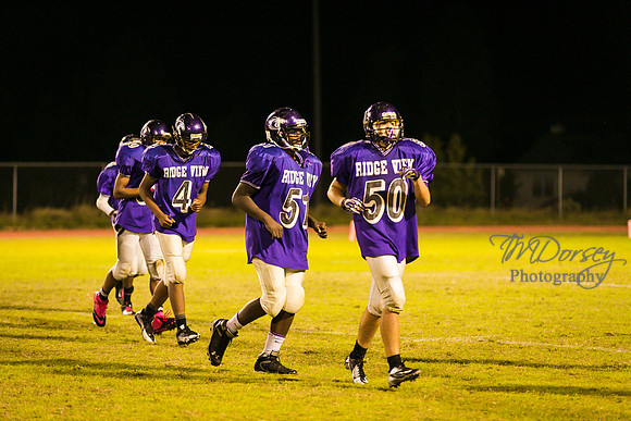 TMD_RVHS_wk8-3692