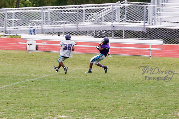 TMD_RVHS_2014-3796
