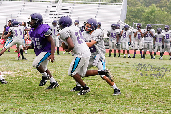 TMD_RVHS_2014-3658
