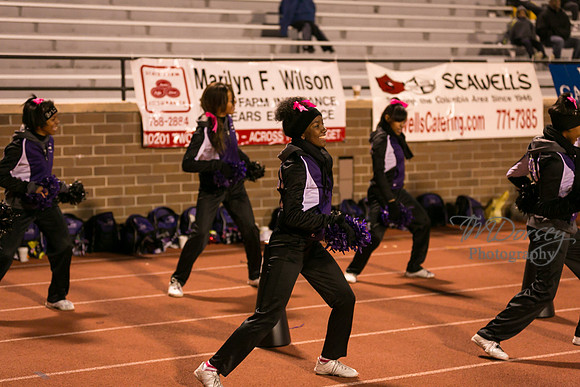 TMD_RVHS_wk8-4920