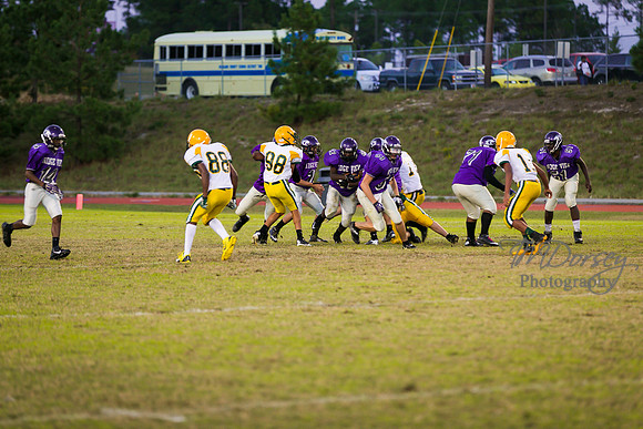 TMD_RVHS_wk8-3302