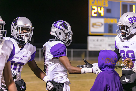 RVHS_2016-3166