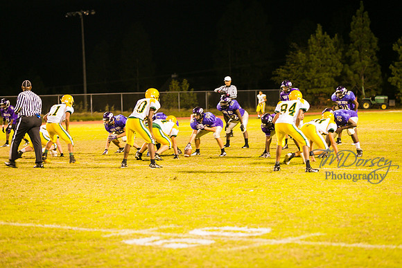 TMD_RVHS_wk8-3499