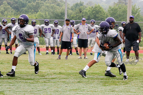 TMD_RVHS_2014-3603