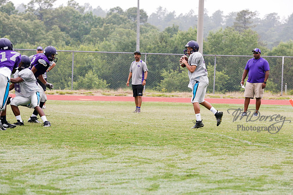 TMD_RVHS_2014-3624