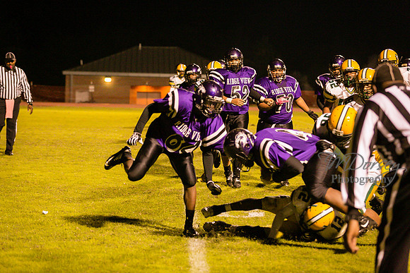 TMD_RVHS_wk8-4044