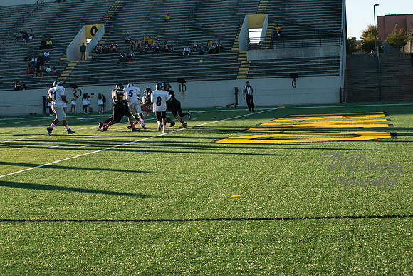 TMD_RVHS_wk6-8981