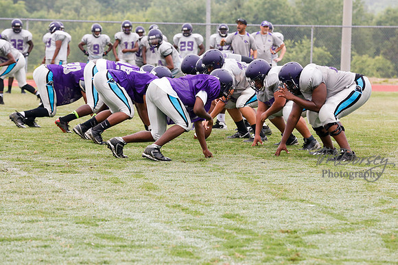 TMD_RVHS_2014-3608