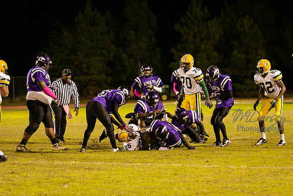 TMD_RVHS_wk8-3741