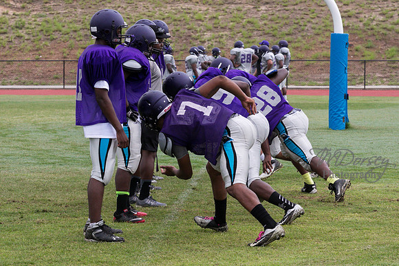 TMD_RVHS_2014-3545