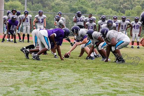TMD_RVHS_2014-3628