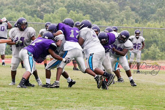 TMD_RVHS_2014-3620