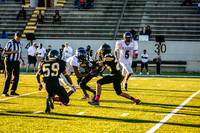 TMD_RVHS_wk6-8904