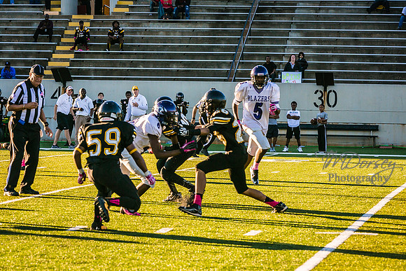 TMD_RVHS_wk6-8904