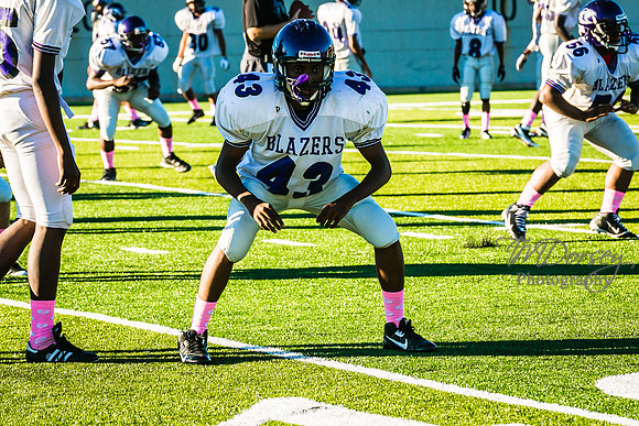 TMD_RVHS_wk6-8888