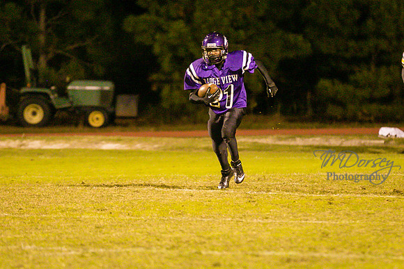 TMD_RVHS_wk8-3756