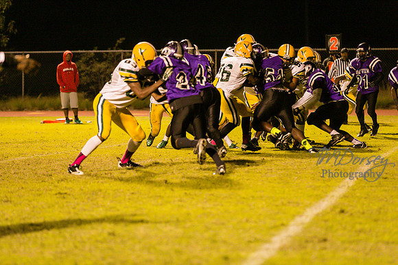 TMD_RVHS_wk8-3818